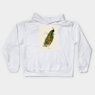 Peacock Antique Naturalist Illustration Kids Hoodie